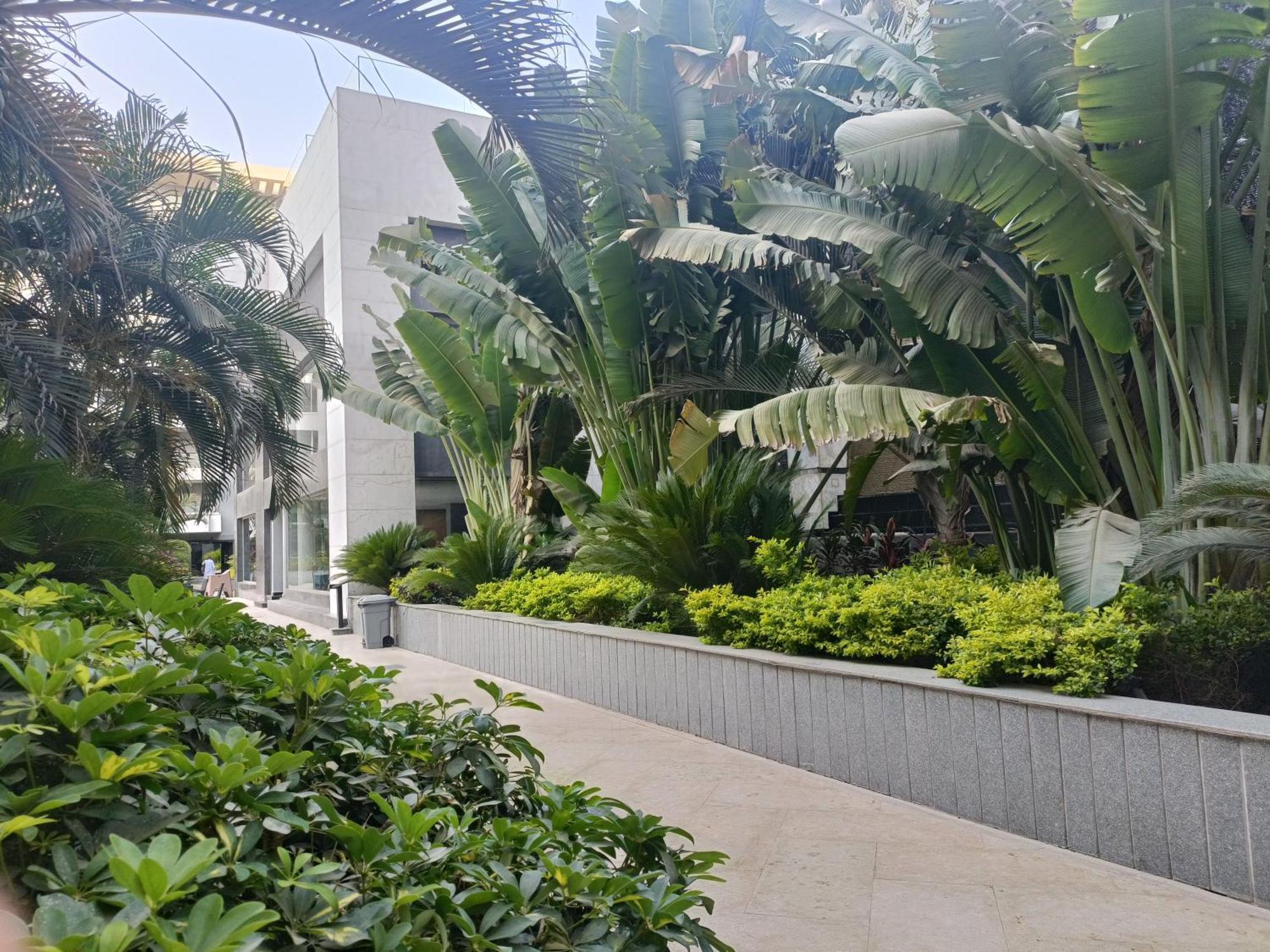 Apartmán Sheraton Ocean 601-A - Pool With Fees *
